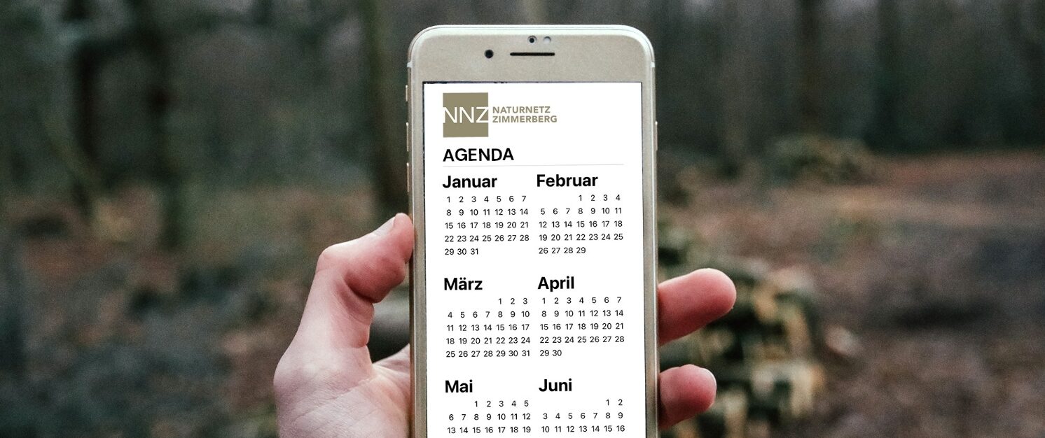 Agenda