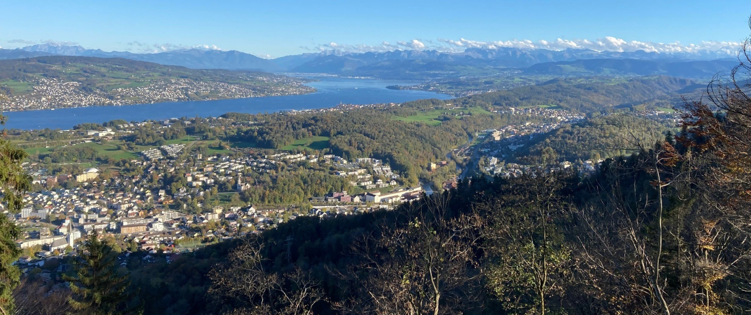 Tierbeobachtung melden